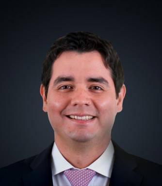Emilio Llosa